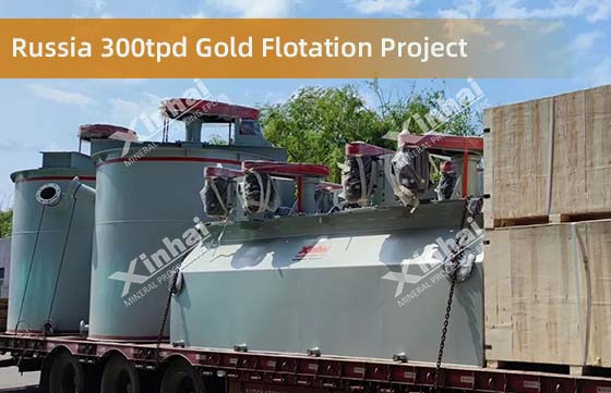 Russia 300tpd Gold Flotation Project.jpg